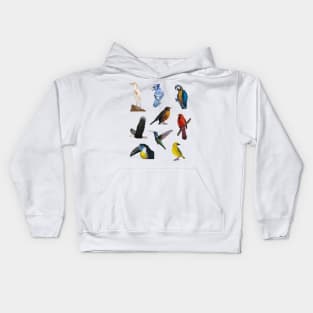 Nine Bird Illustration Pack Kids Hoodie